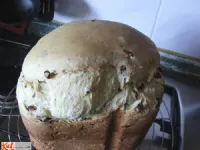 Fotografija recepta: Panettone v kruhomatu