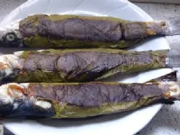 Fotografija recepta: Brancin v trtnem listu na žaru