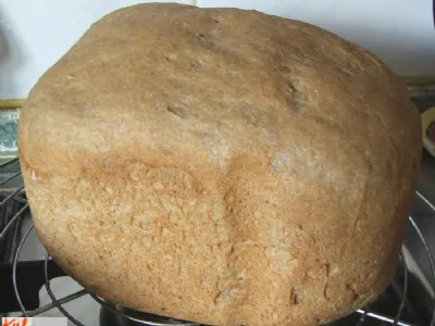 Hitri 100% polnovredni pšenični kruh iz kruhomata