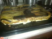 Fotografija recepta: Timballo