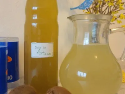 Sirup iz kivija