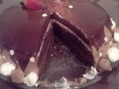 Moja čokoladna torta