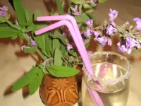 Fotografija recepta: Sirup iz žajbljevih cvetov