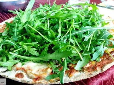 Pica testo iz ajdove moke