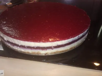 Torta pannacotta malina brez peke
