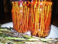 Fotografija recepta: Vloženi divji šparglji