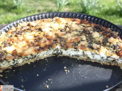 Regratov quiche s feto