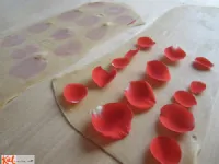 Fotografija recepta: "Tiskane" testenine