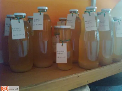 Sirup iz bezga in limone po moje