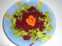 Fotografija recepta: Solatka kapucinka