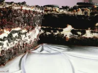 Fotografija recepta: Črno - bela Oreo torta