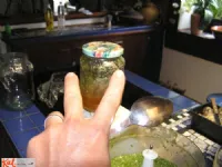 Fotografija recepta: Pikantna čili omaka