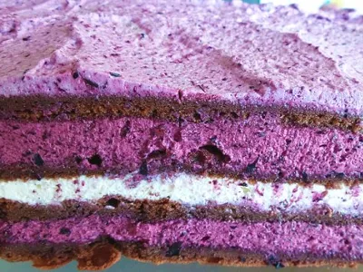 Rustična borovničevo - čokoladna torta