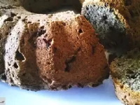 Fotografija recepta: Ajdov kolač s suhim sadjem