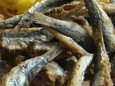 Ocvrte sardele »ala fasulas«