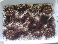 Fotografija recepta: Pan di stelle pecivo