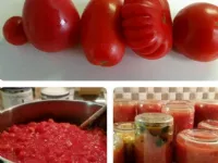 Fotografija recepta: Paradižnikova mezga