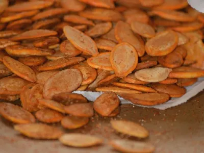 Bučnice »ala fasulas«