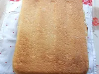 Fotografija recepta: Potratna potica