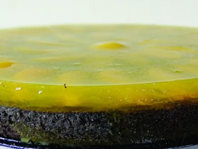 Tortica iz črnega sezama