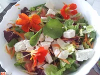 Fotografija recepta: Mavrična solata s piščančjim mesom