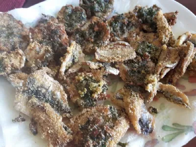 Sardele Gabriele Sponza