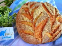 Fotografija recepta: Mlečni mešani koruzni kruh