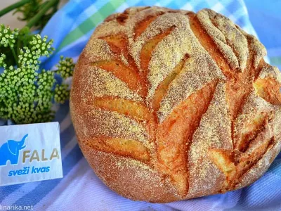 Mlečni mešani koruzni kruh