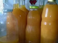 Fotografija recepta: Jabolčno korenčkov sok