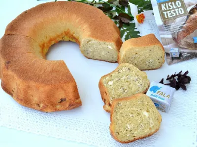 Metina potica s skuto