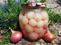 Fotografija recepta: Vložena čebulica