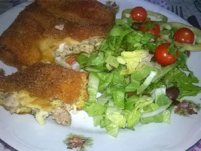 Kaneloni z mletim mesom