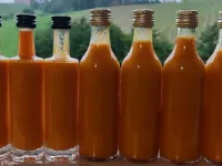 Fotografija recepta: Pekoča omaka z dimljenimi habanero čiliji