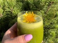 Fotografija recepta: Imuno napitek z regratom