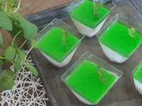 Fotografija recepta: Gin tonic panna cotta