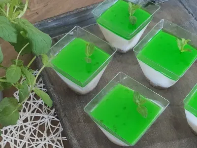 Gin tonic panna cotta