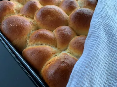 Buhtlji brez sladkorja