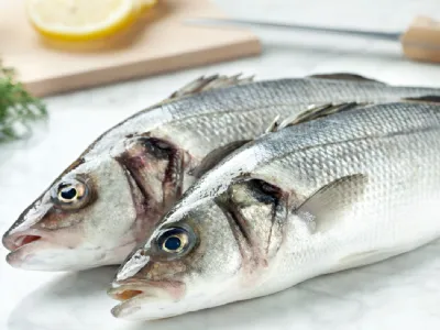 Brancinov karpačo s česnovim pirejem in solato v parmezanovi skledici