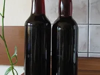 Fotografija recepta: Teranov liker