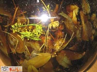 Fotografija recepta: Jagermaister tete Pehte