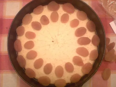 Jogurtova torta s sadjem