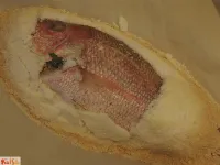 Fotografija recepta: Brancin v soli