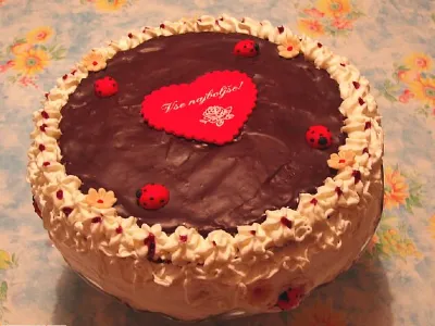 Čokoladna torta