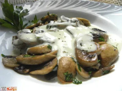 Gobova solata z jogurtom