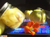 Fotografija recepta: Kutine z vinjakom