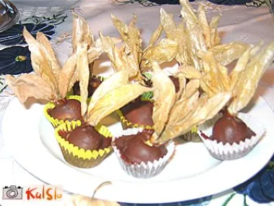 Fizalis v čokoladni srajčki