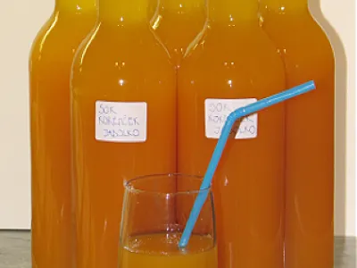 Sok iz jabolk in korenja