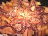 Fotografija recepta: Hobotnica