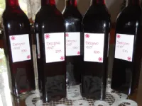 Fotografija recepta: Bezgovo vino