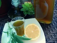 Fotografija recepta: Žajbljev limončelo